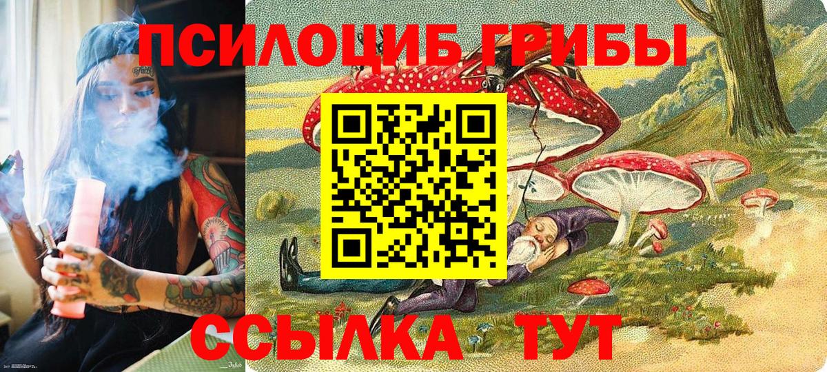 Псилоцибиновые грибы Psilocybine cubensis Черногорск